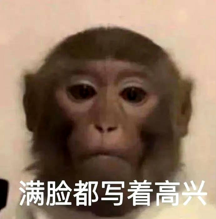 搞笑表情包聊天必备 