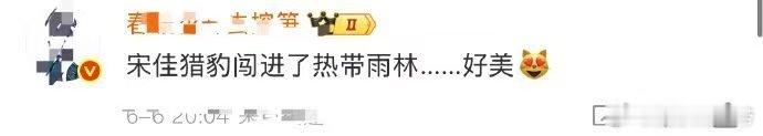 宋佳 猎豹闯进了热带雨林 宋佳在VOGUE活动美出新高度！露背豹纹长裙搭配海边绿