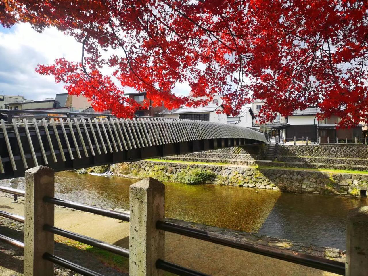 飞弹高山宫川朝市—高山古街—高山阵屋—樱山八幡宫，感受原住民的市井之气。