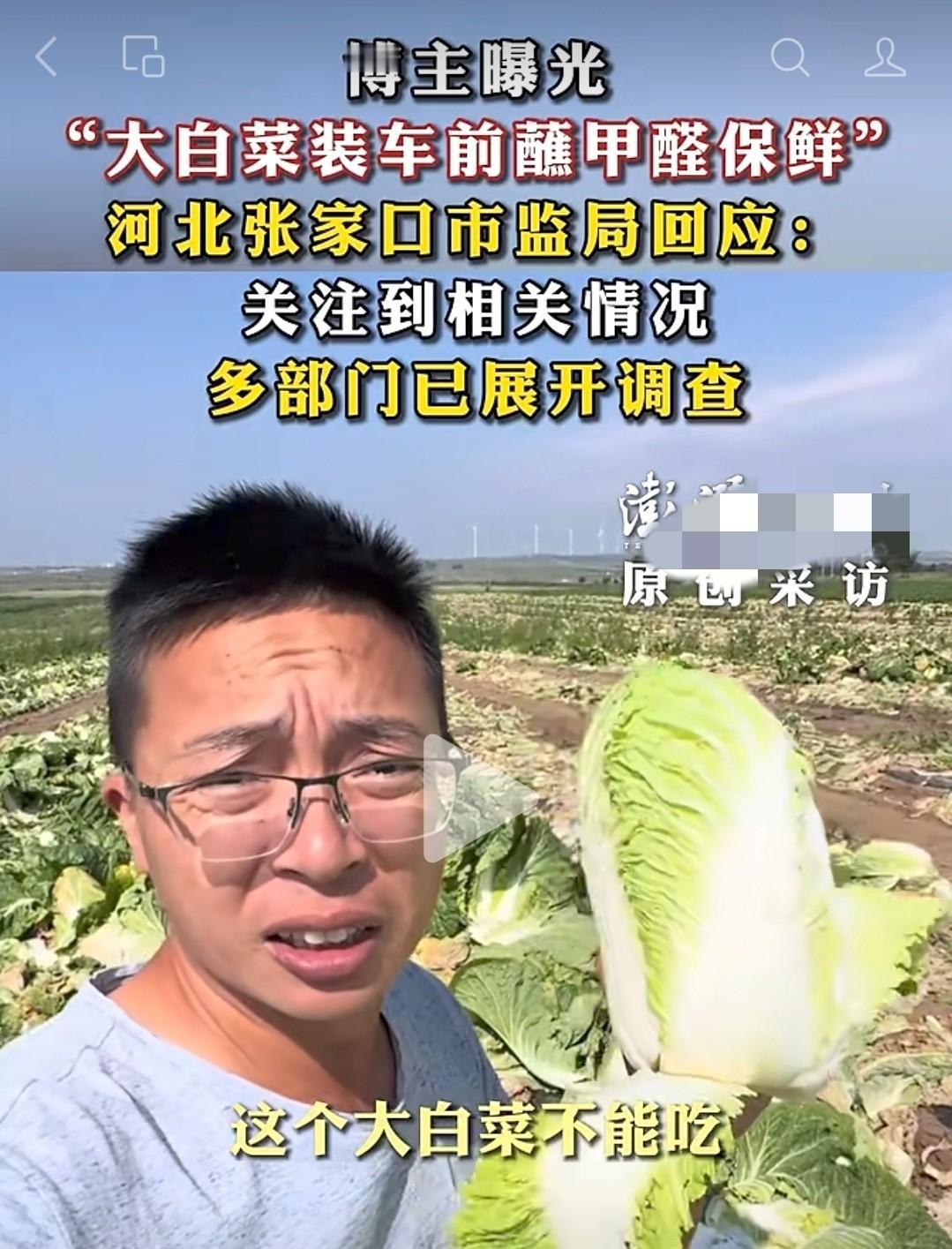 白菜蘸甲醛，

三败俱伤，

谁该买单？

我最近看了一个新闻，说河北张家口康保