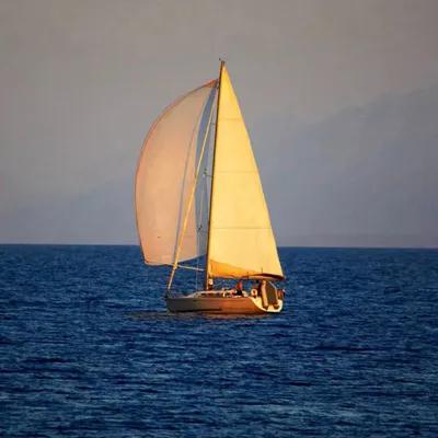 上联：狂风暴雨暴雨，
下联：今朝平浪静静。