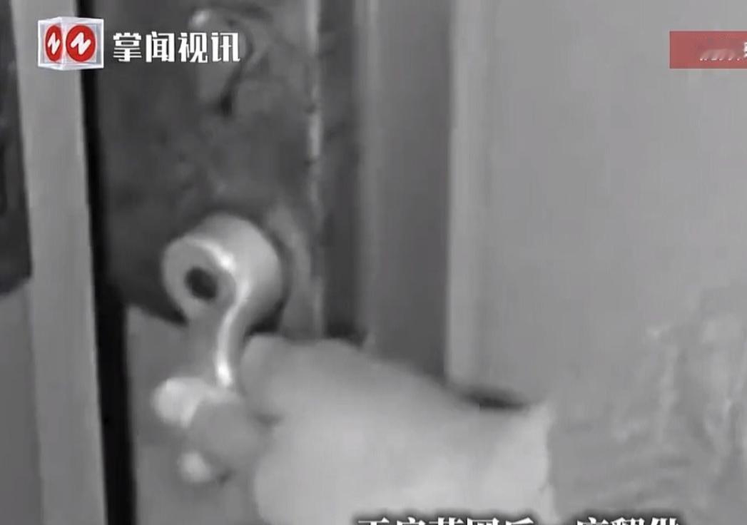 陕西汉中，男子冒充物业持刀闯入女子家中实施抢劫，钱没拿到还辩称“不算入户抢劫”，