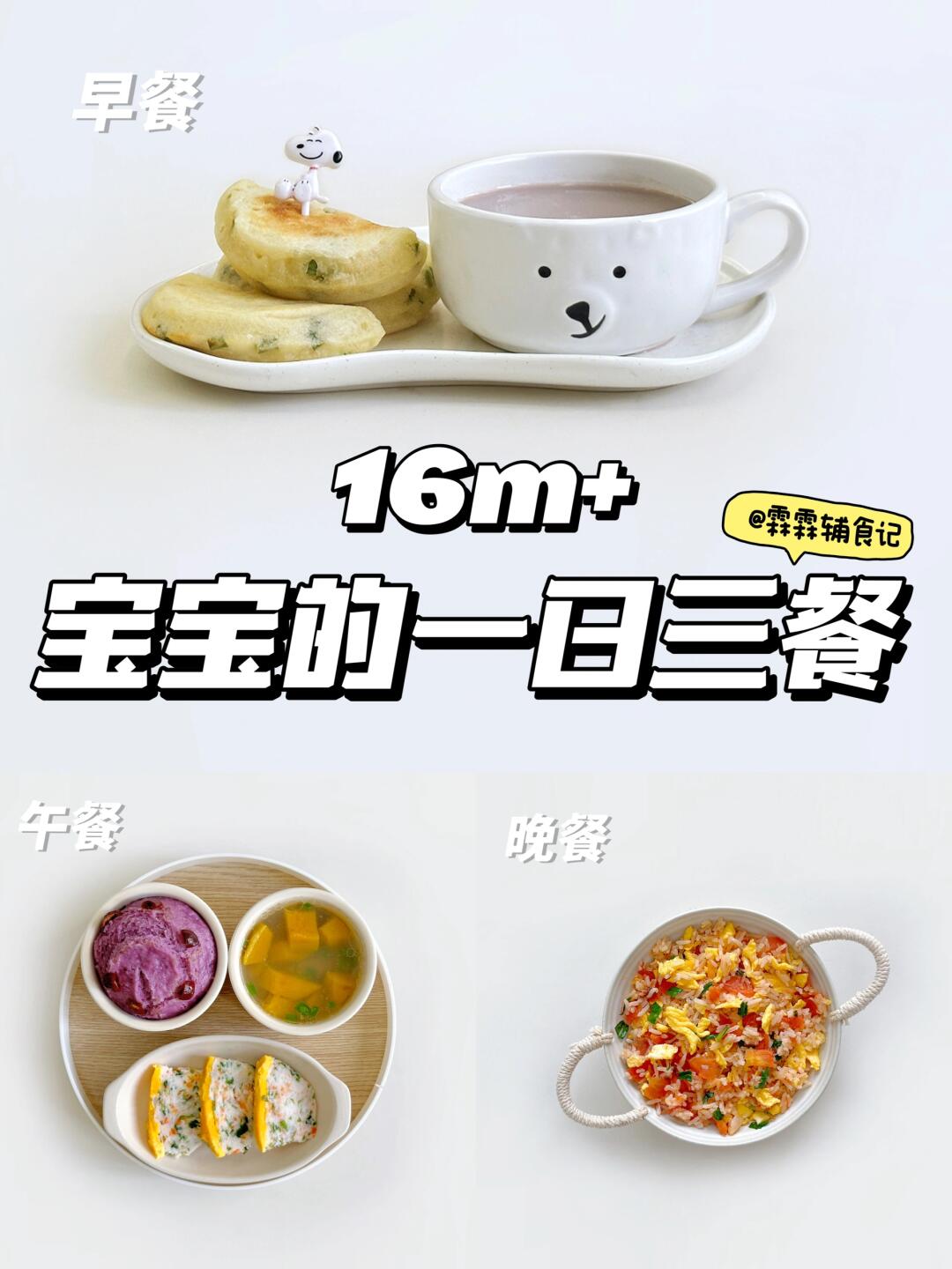 16m+ |🦐裙带菜虾糕 | 番茄干贝蛋炒饭