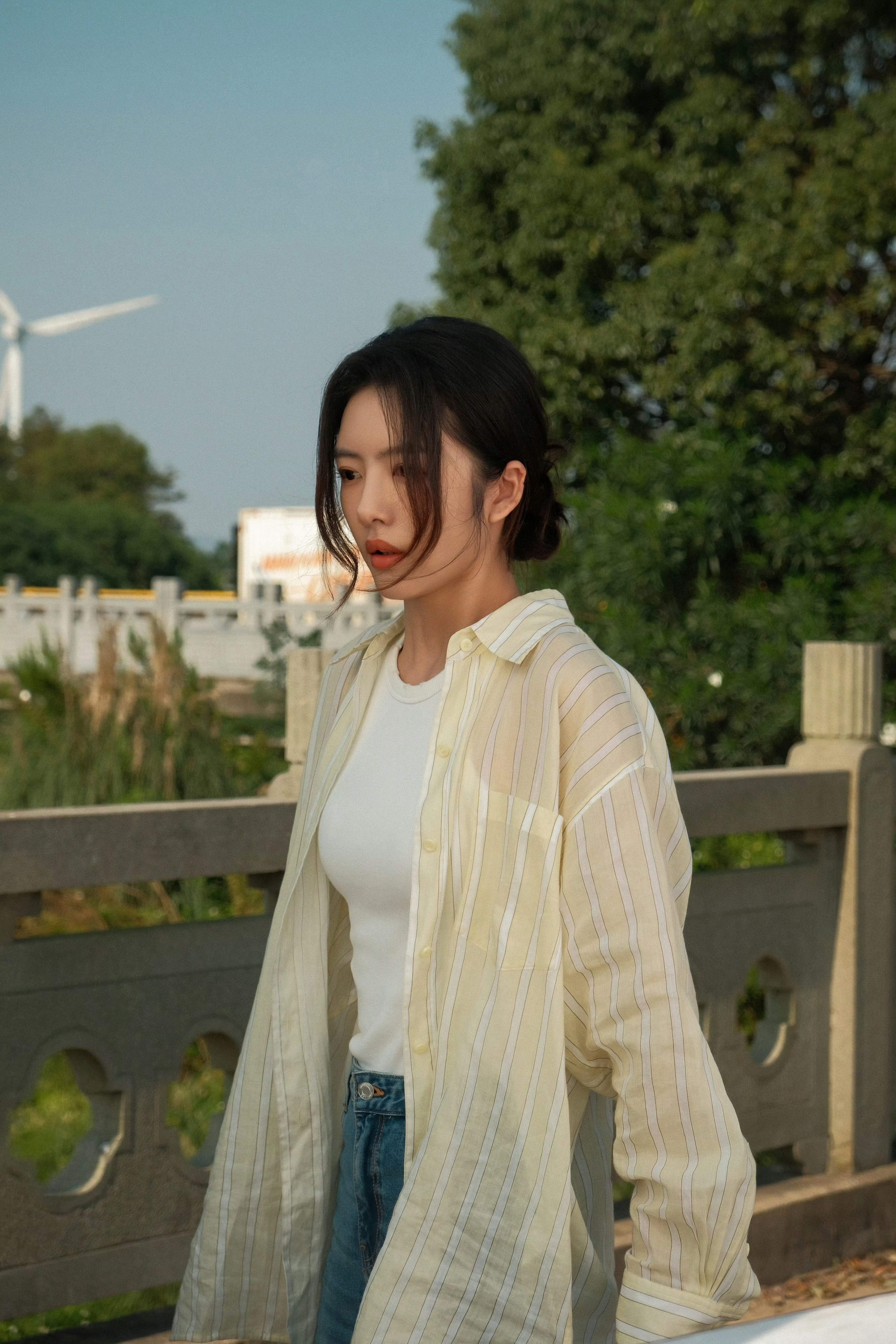 蔡文静 