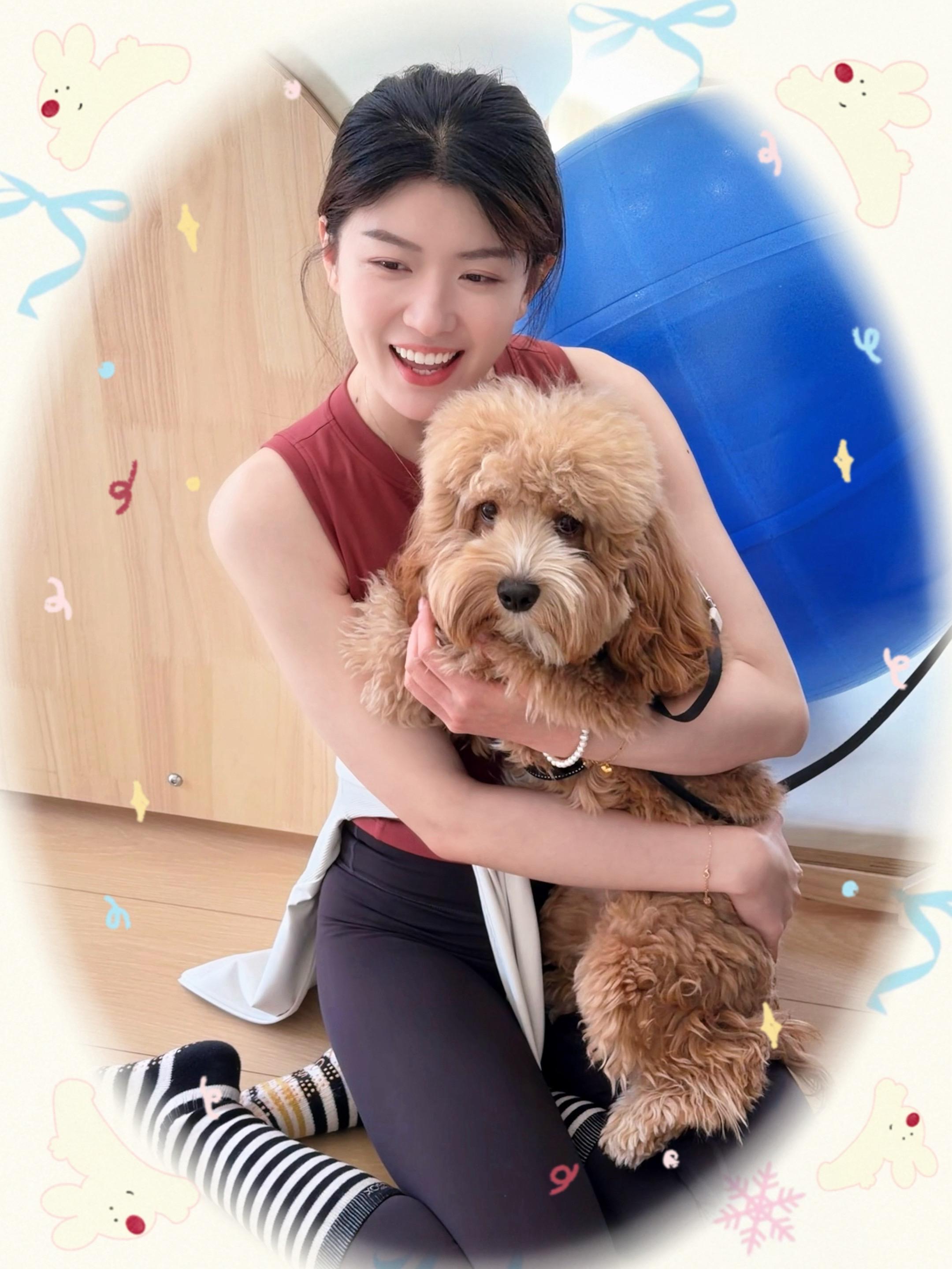 会员的可爱小狗