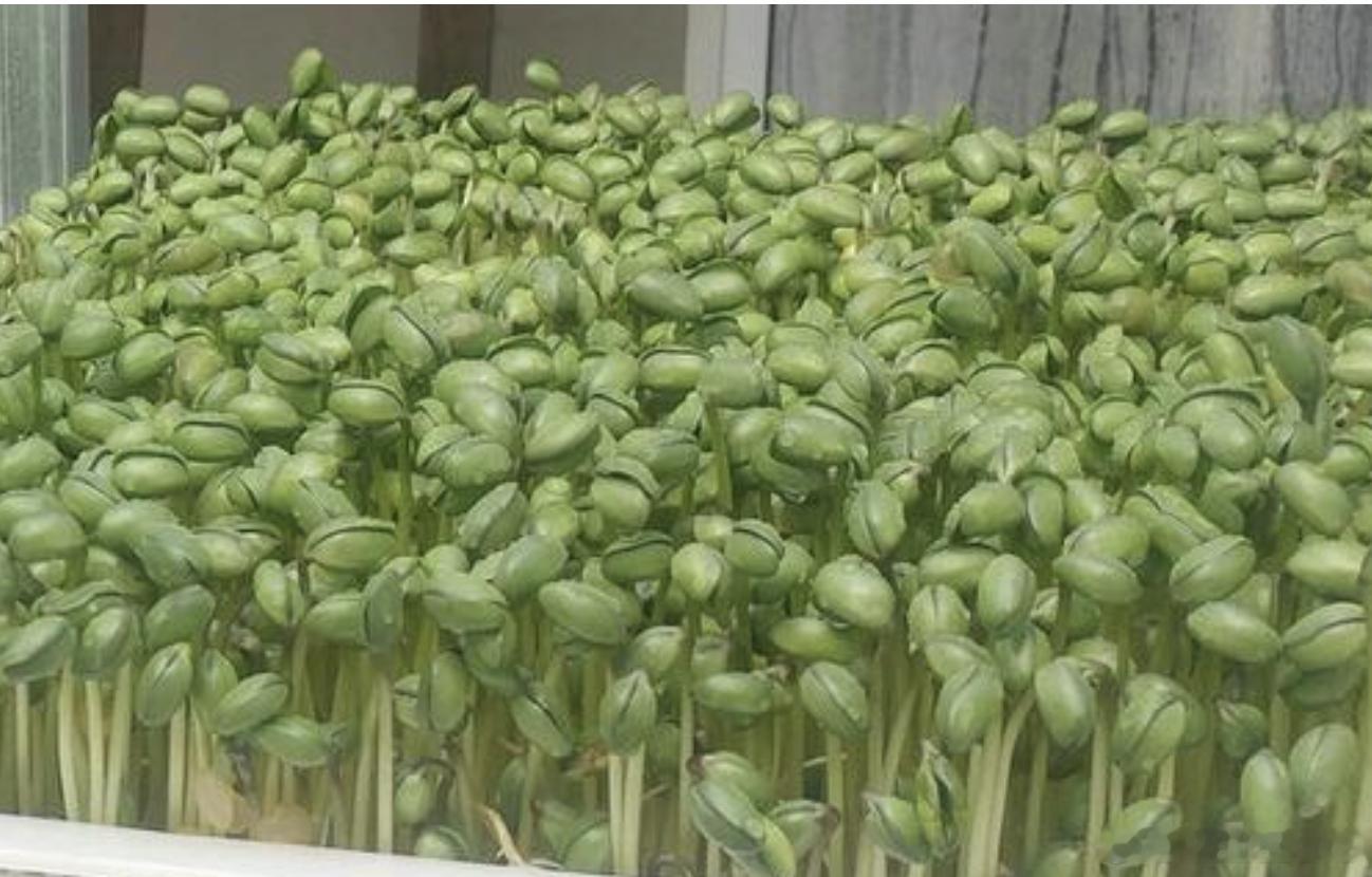 中国这么大，光说饮食差异。只谈我小时候，因为当时全国流动人口没有这么多，外地菜少