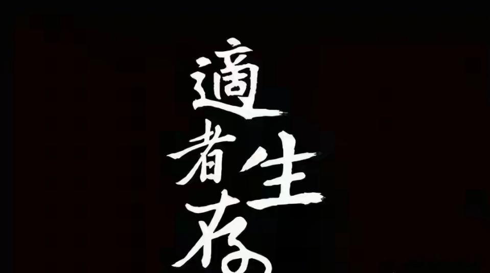 老话讲，静水流深，处变不惊。很多人在投资市场中，总执着于钻研繁杂技术、追逐短期热