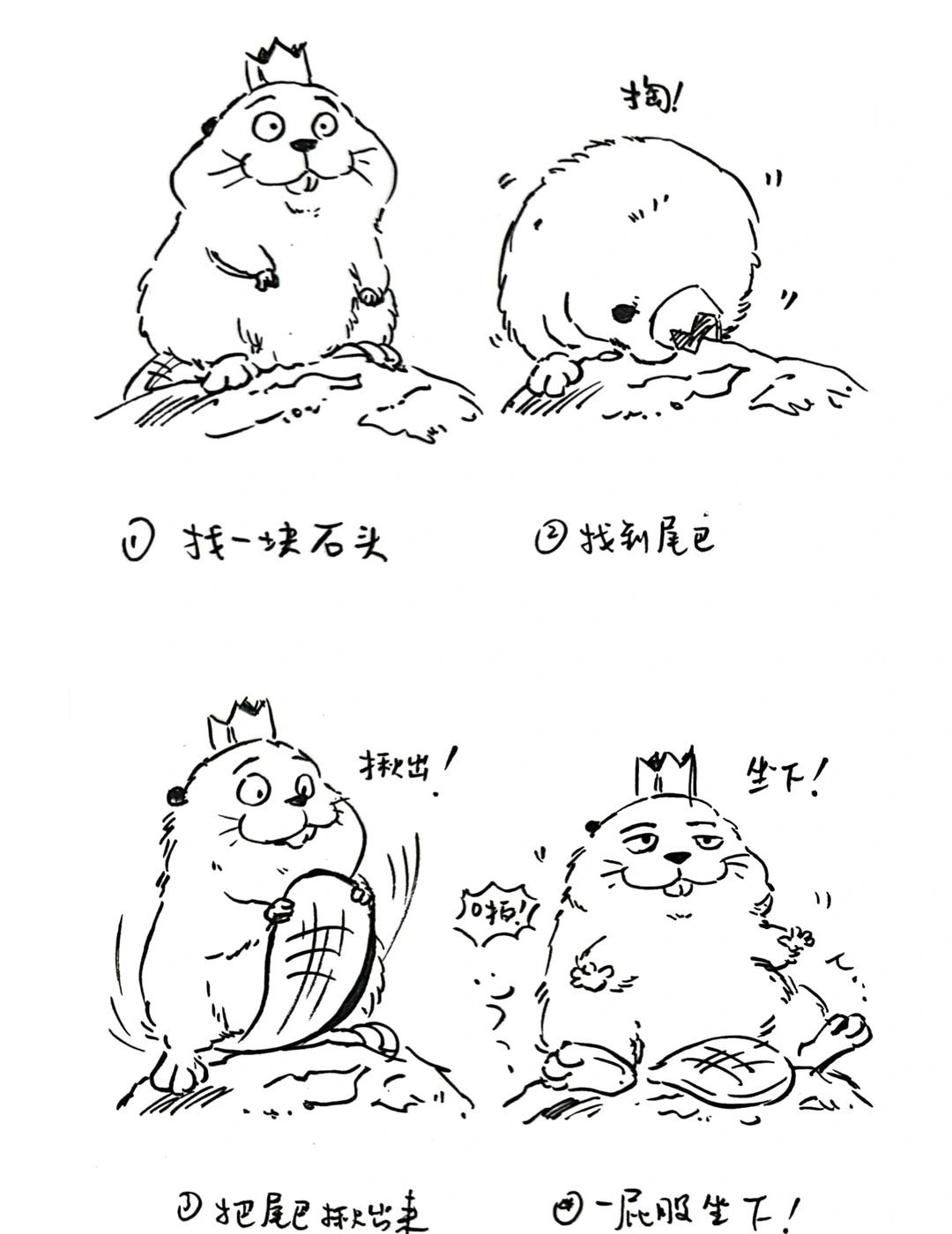 一只河狸坐下来需要几步？
河狸变身计划 可爱 漫画 河狸 脑洞 搞笑 二创 动画