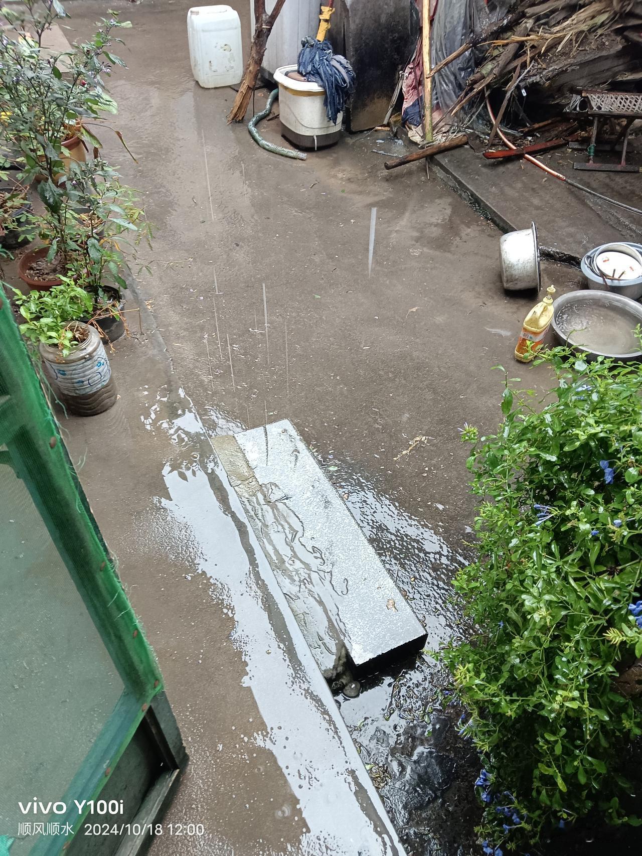 10月19号淄博昨天下的这场一天多的大雨对于灌溉刚播种下的小麦起到了决定性的作用