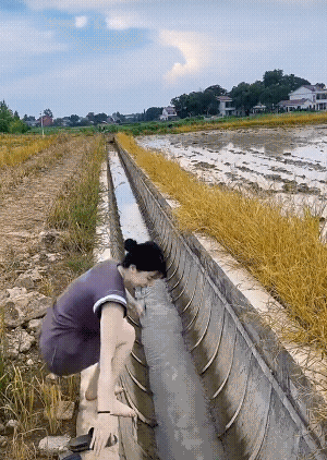 阿妹，在水沟里玩水呀，小心有蚂蝗吸你的血哟！[捂脸]