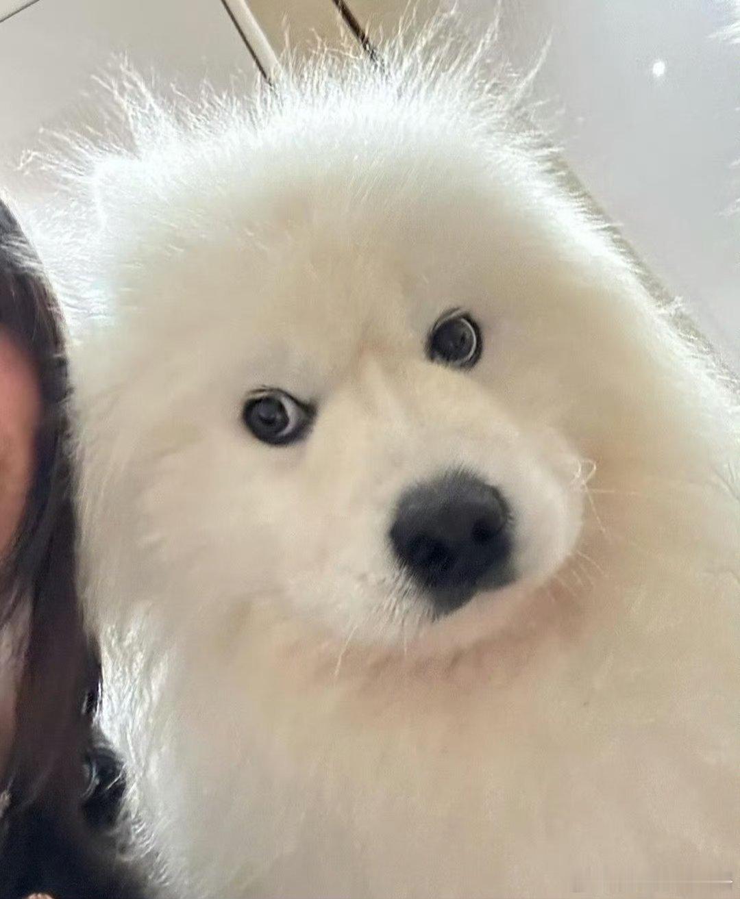 第五人格[超话] 目前第五人格最值钱的皮肤是哪一款呀？ 