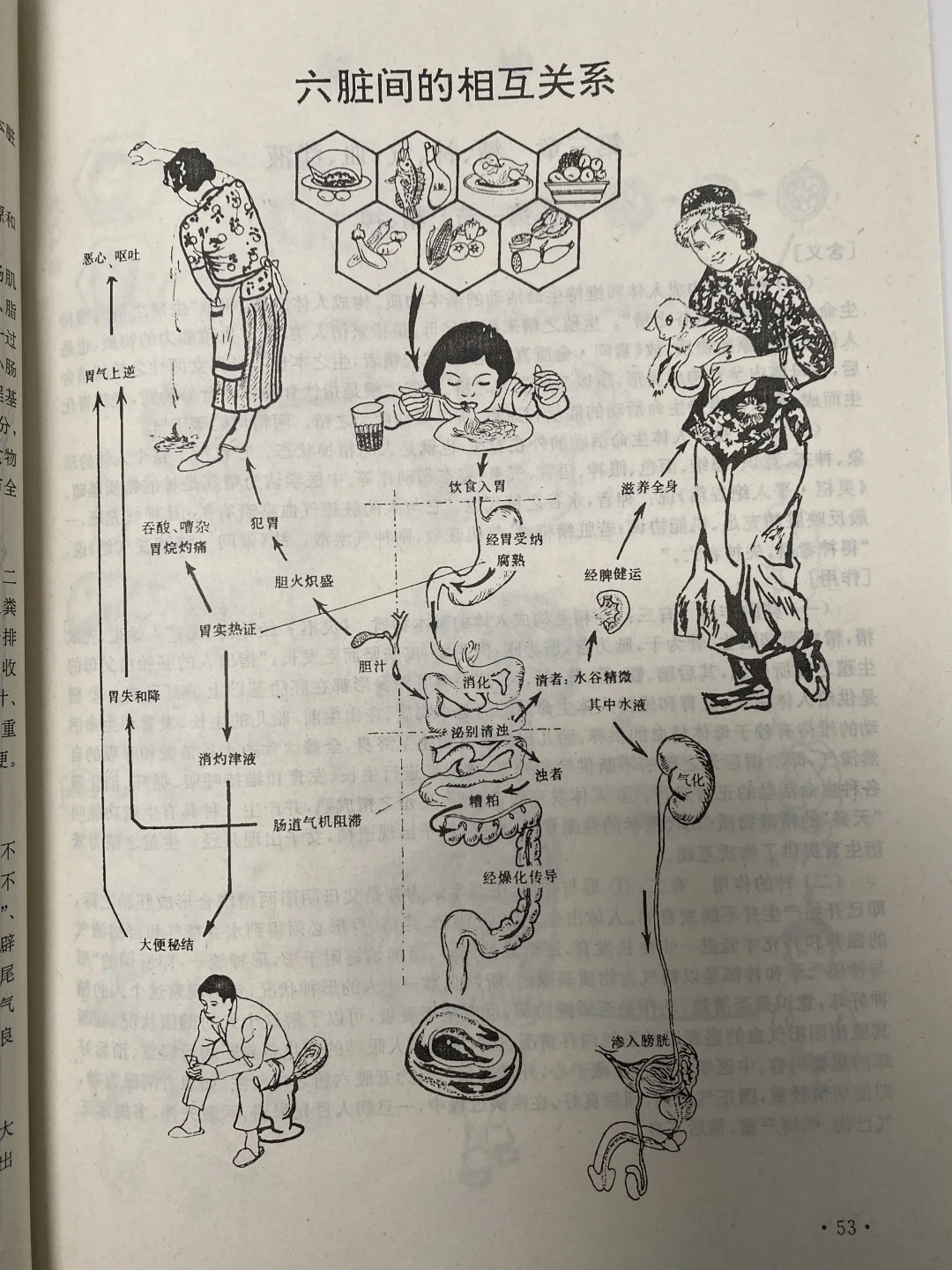 原来老书真有东西，六腑辨证原来是这么回事
