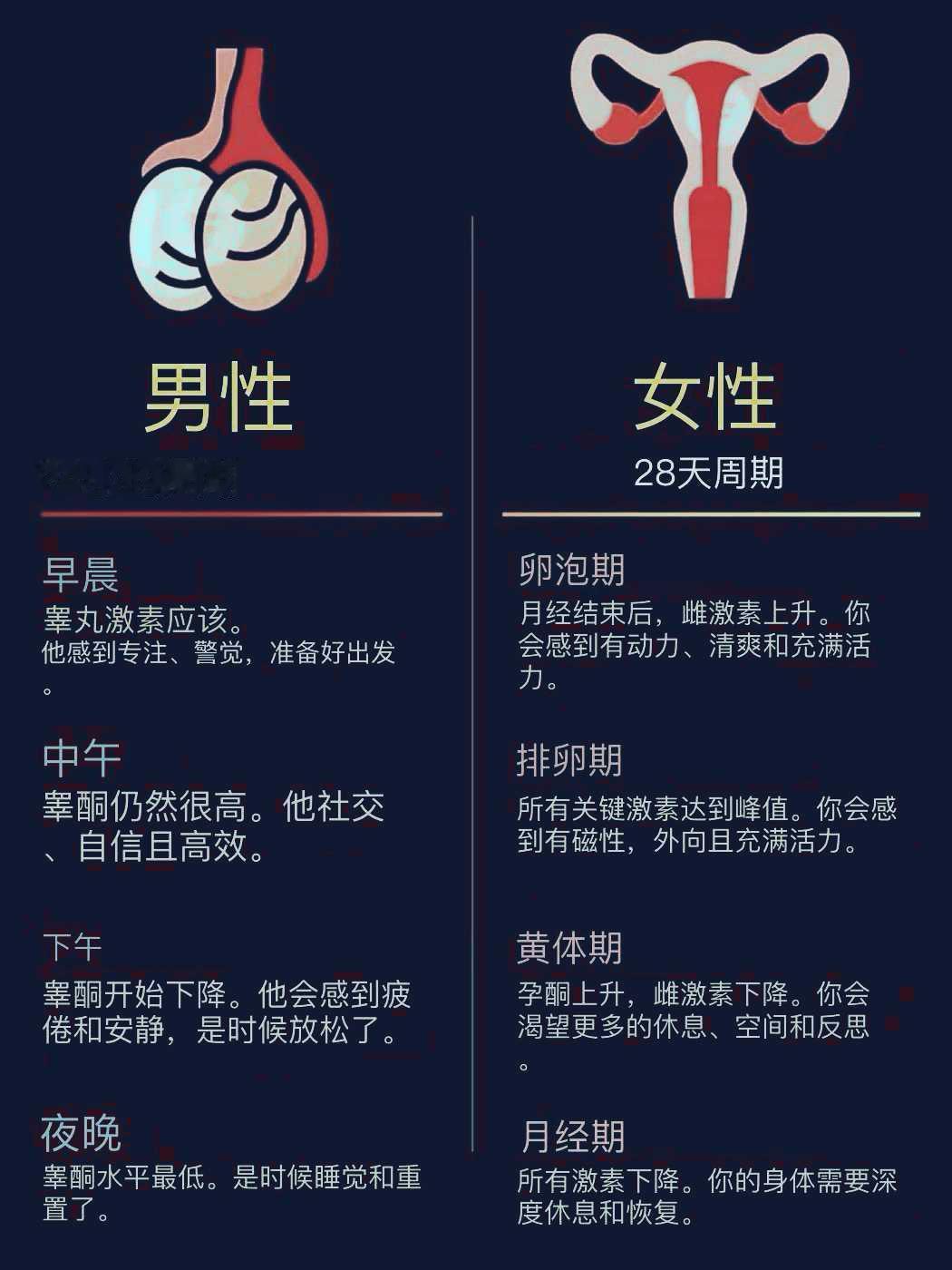 为了幸福，男人一定要早上！