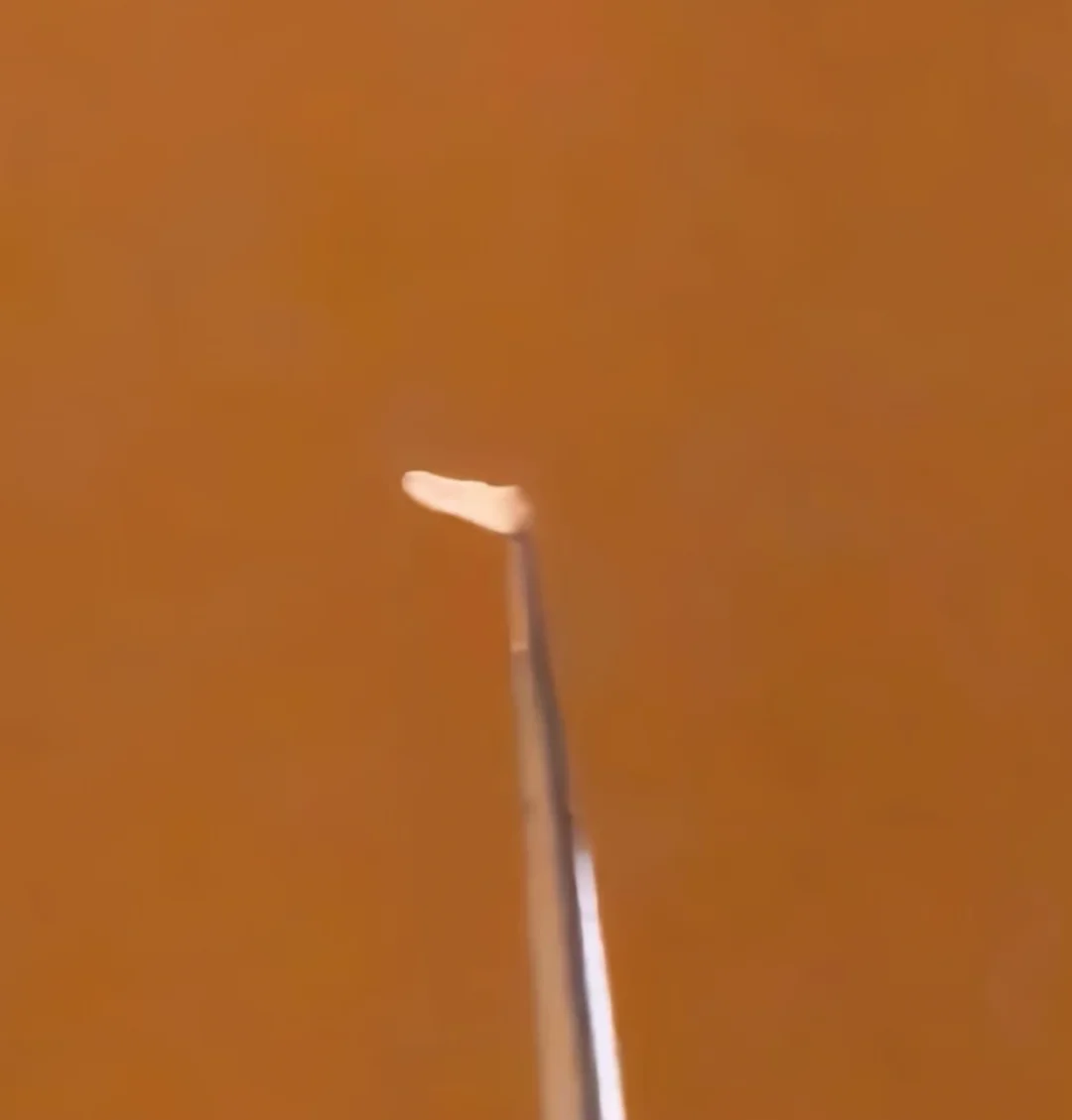 像拔萝卜一样