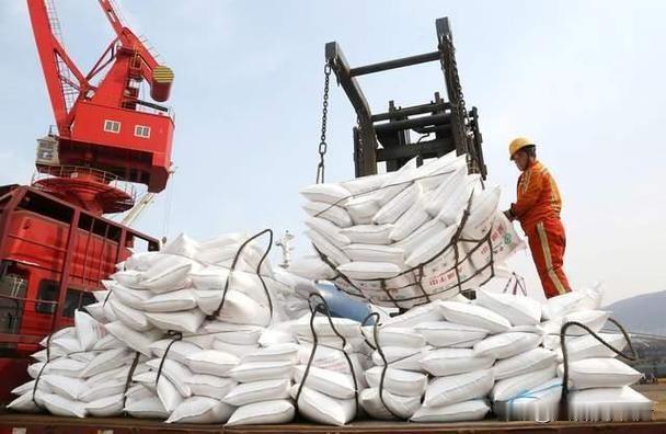 一吨尿素市价直接从490美元疯冲至959美元，近乎翻倍暴涨，印度依旧硬生生咬牙敲