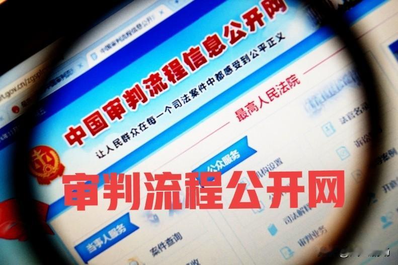 今天登录审判流程公开网，看看某个案件的审理进程，有了新的发现：在人民法院在线服务