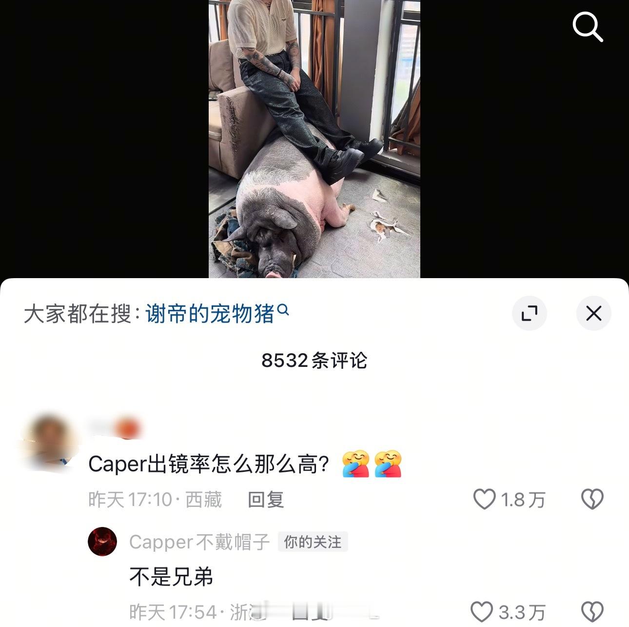 谢帝晒宠物猪，受伤的却是Capper[doge]谢帝 ​​​