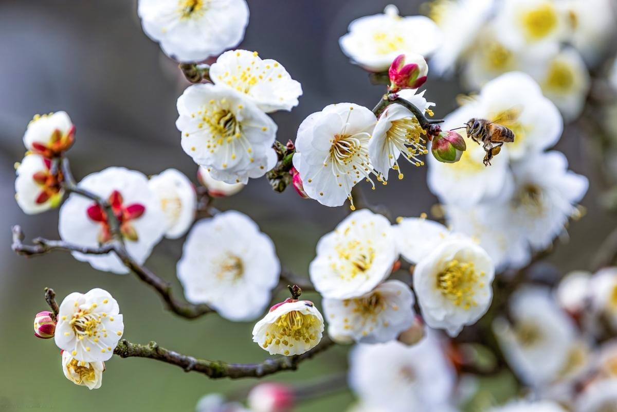 表面上缺的是金钱，本质上缺的是观念，命运里缺的是选择，骨子里缺的是勇气，肚子里缺