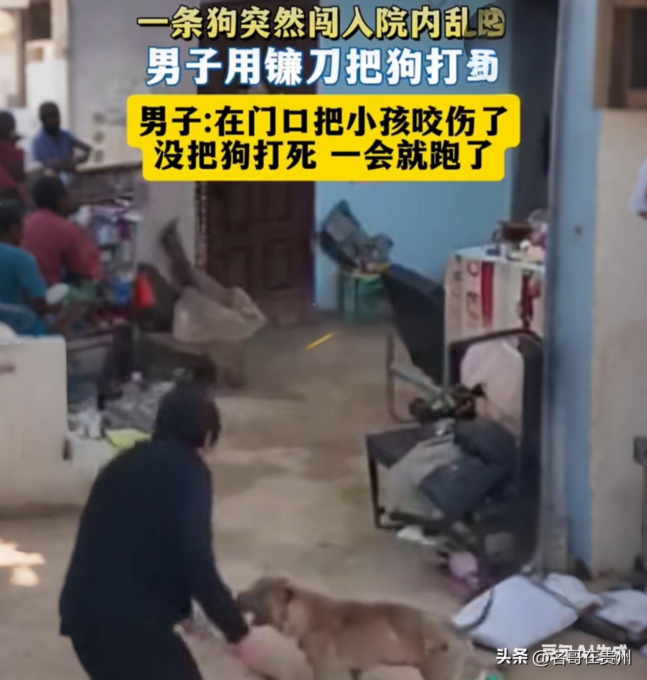 惊险！贵州疯狗闯家先咬小孩再扑老人，老人反击后它竟跑了！

家，本应该是咱们最安