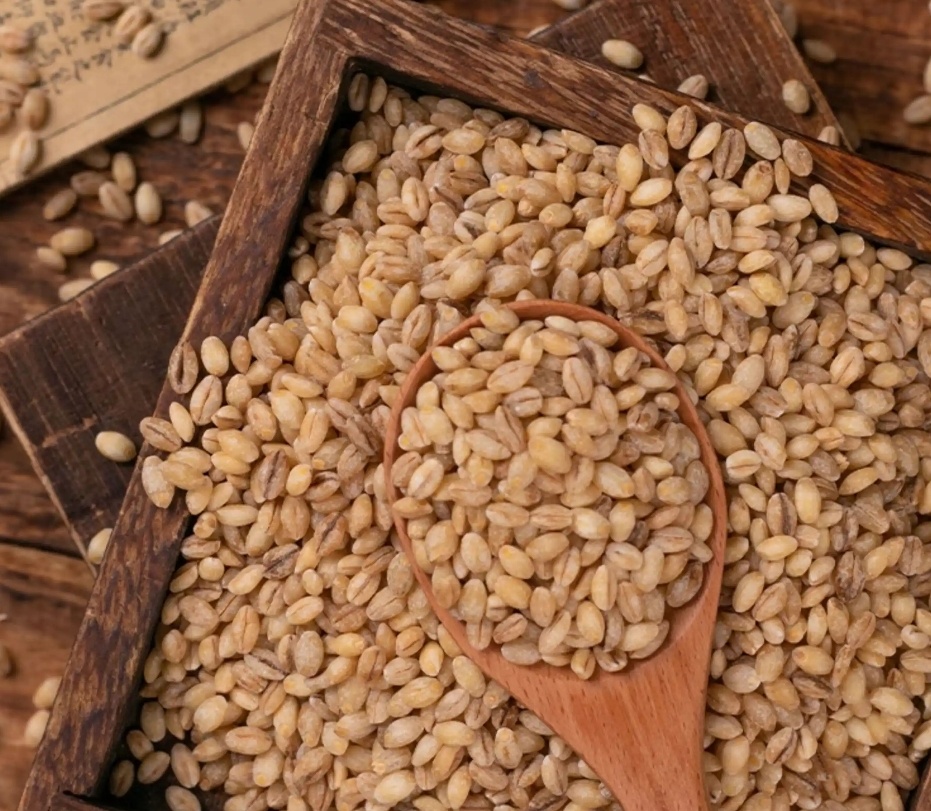 青稞富含β-葡聚糖，β-葡聚糖属于可溶性膳食纤维，在肠道中具有很强的吸水性和吸附