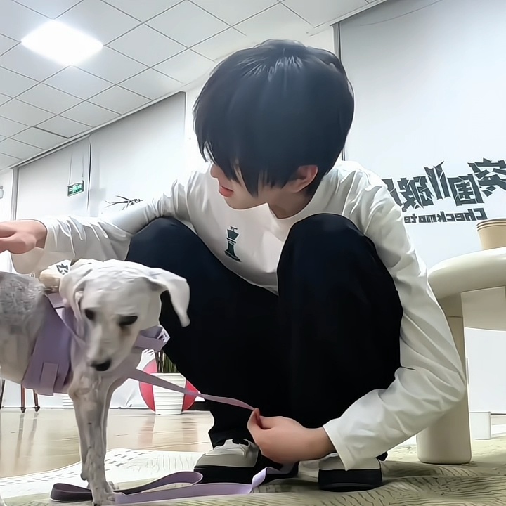 高会视频里面最喜欢的一段。。函函侧颜，啧 