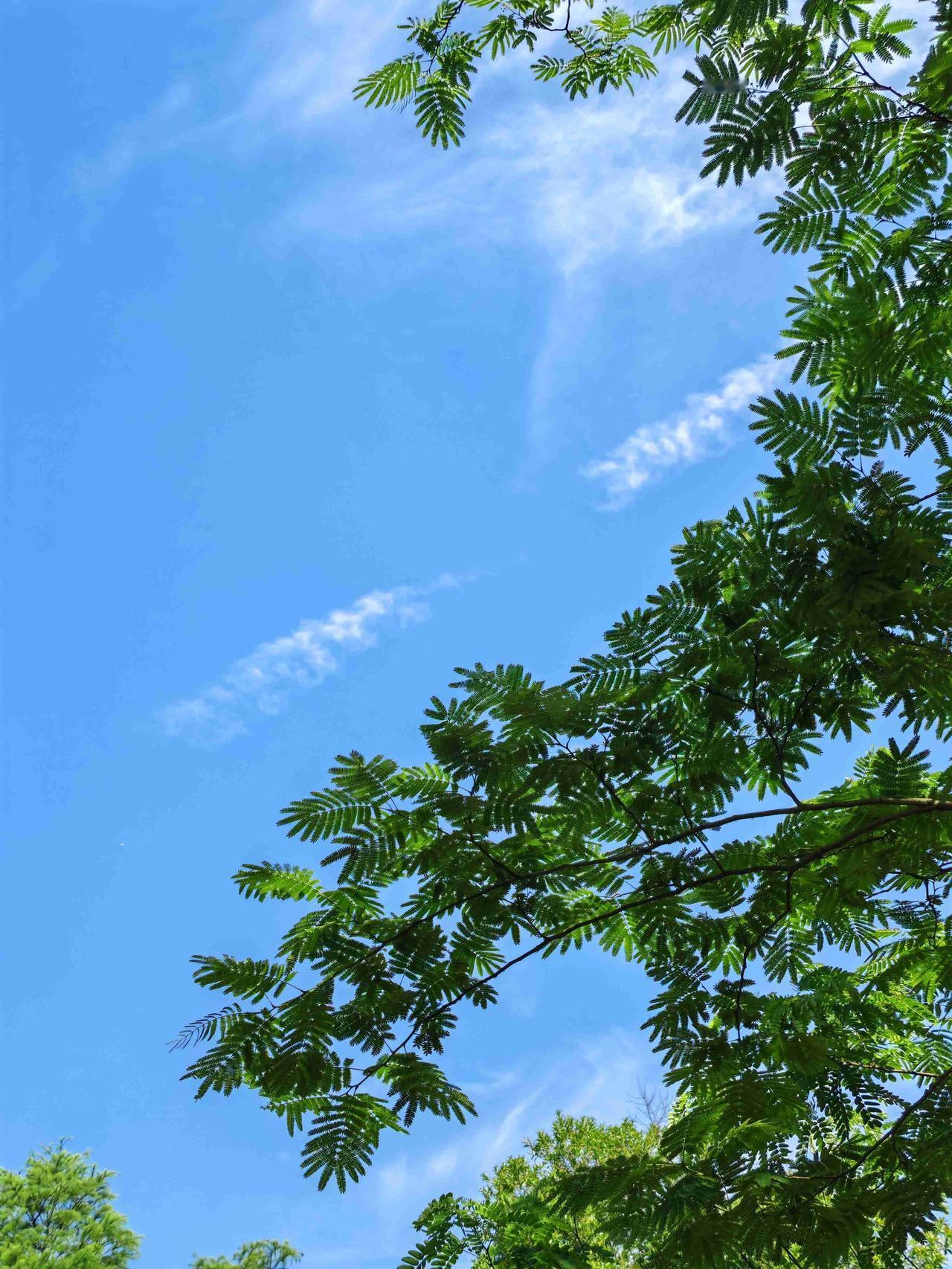 我的今日状态：😁轻松愉快
我这里的天气：☀️晴天