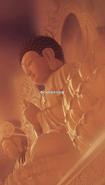 睡前虔诚顶礼合十，睡梦安稳，福慧增上，昼夜吉祥，明天醒来定会有一个美好的缘起 ?
