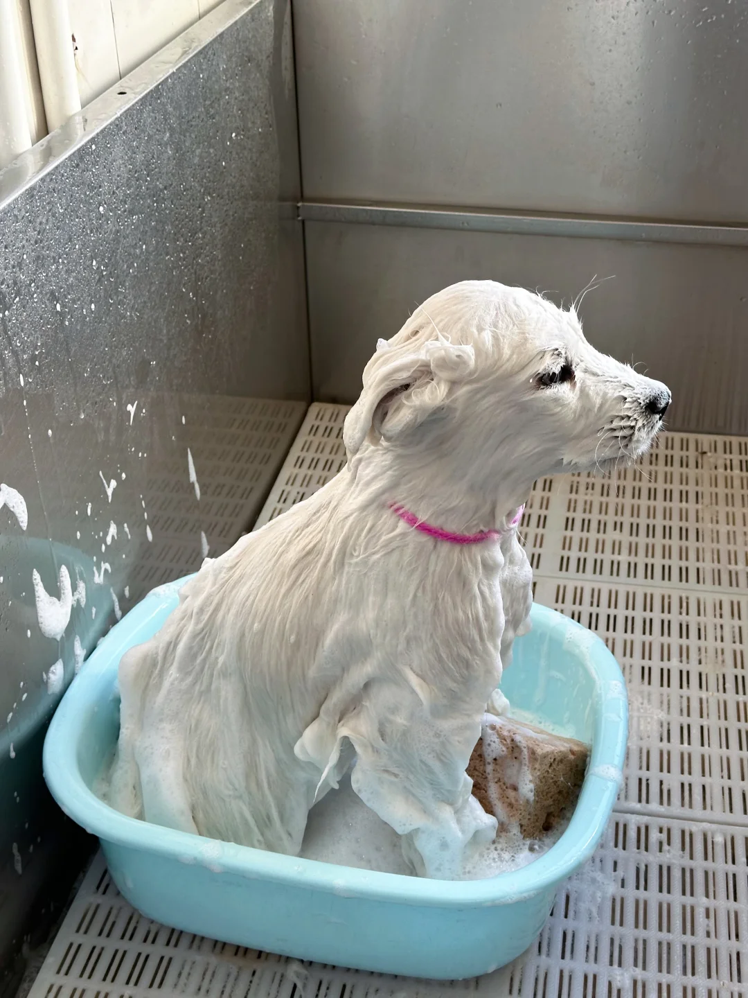笑屎～小家伙洗澡一动不动像座雕塑
