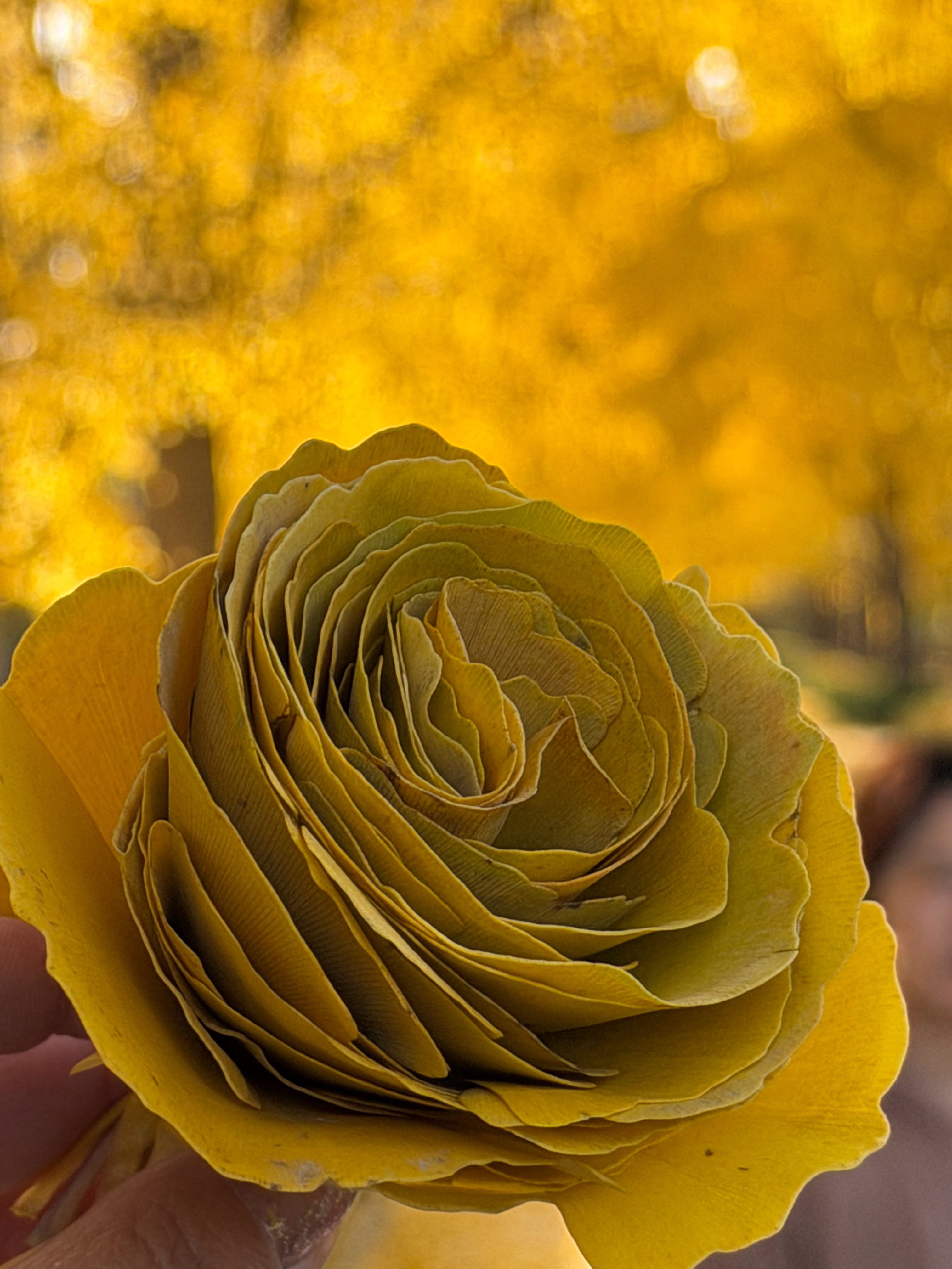 的相关内容，来智搜看看。大家换不换贷是根据自身经济情况和承受有钱不还的精神压力有