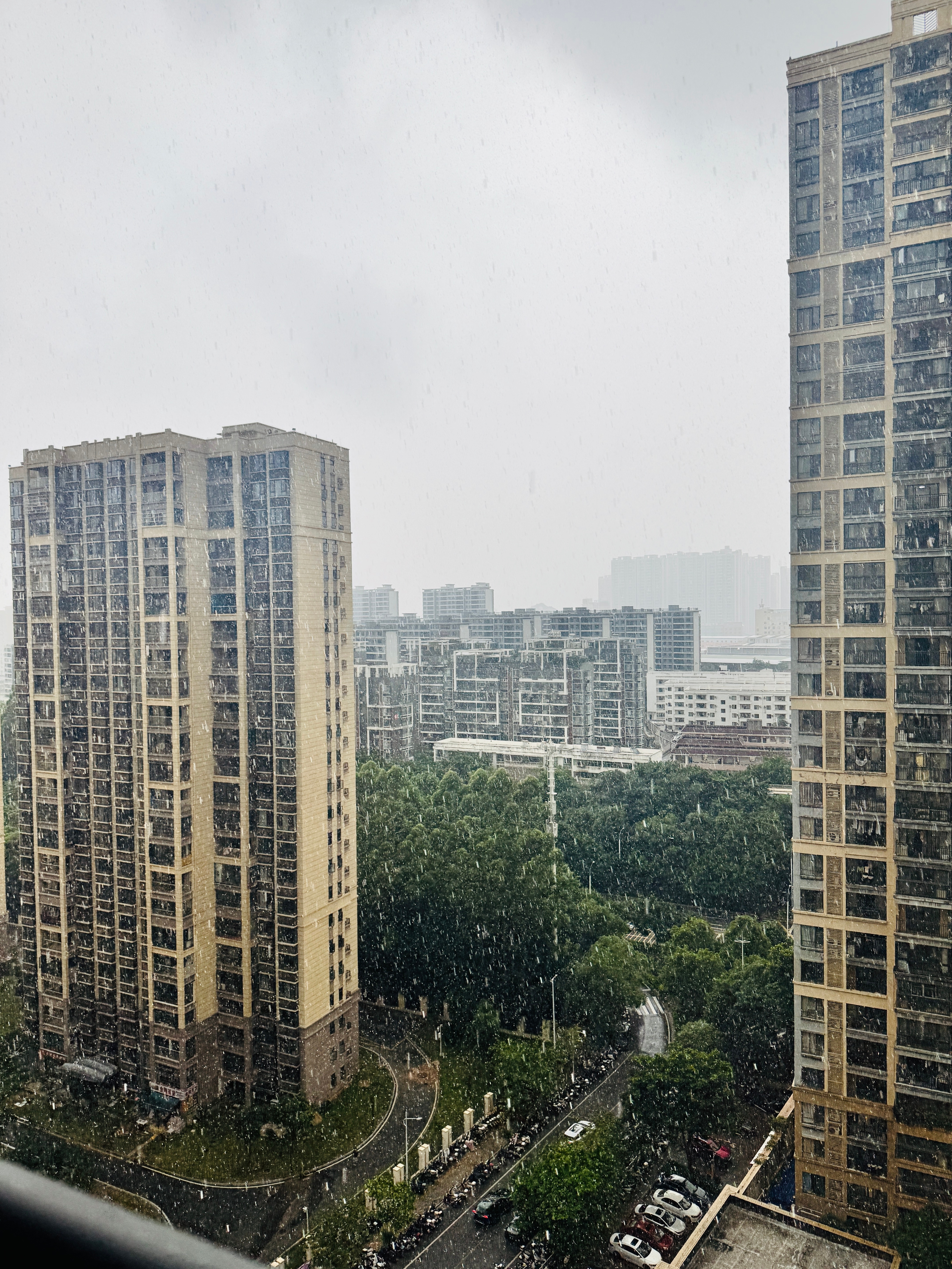 就算大雨让这座城市颠倒，上班也不能迟到我的友友们，早安！ 