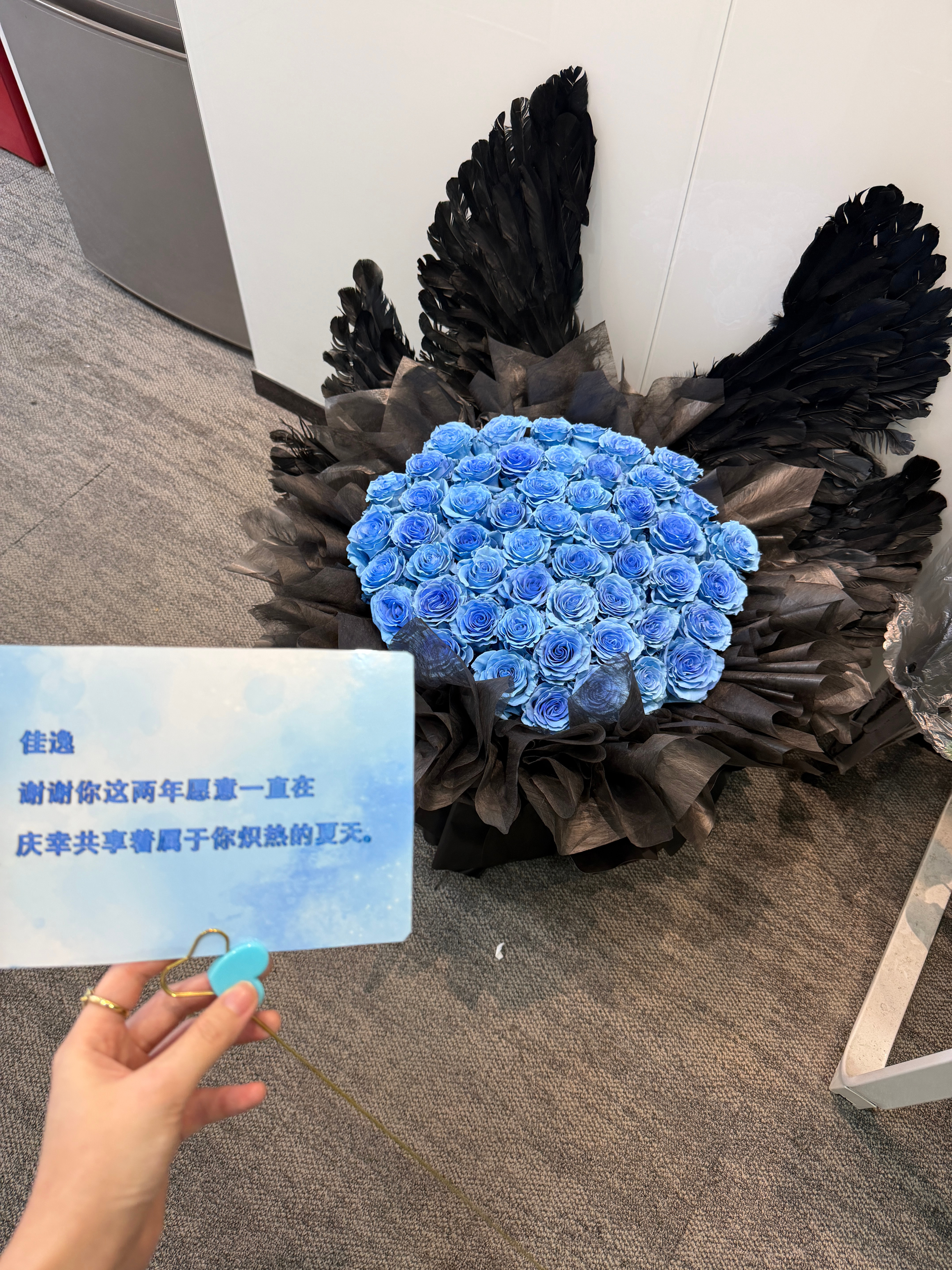 七月份的第一天🦋 上海