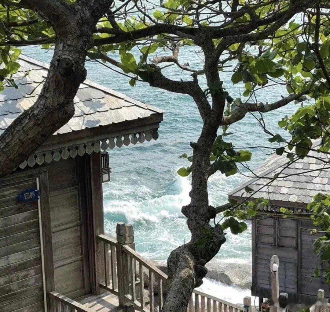 我始终觉得十指相扣的那一瞬间是永恒#每日一善[超话]# ​​​