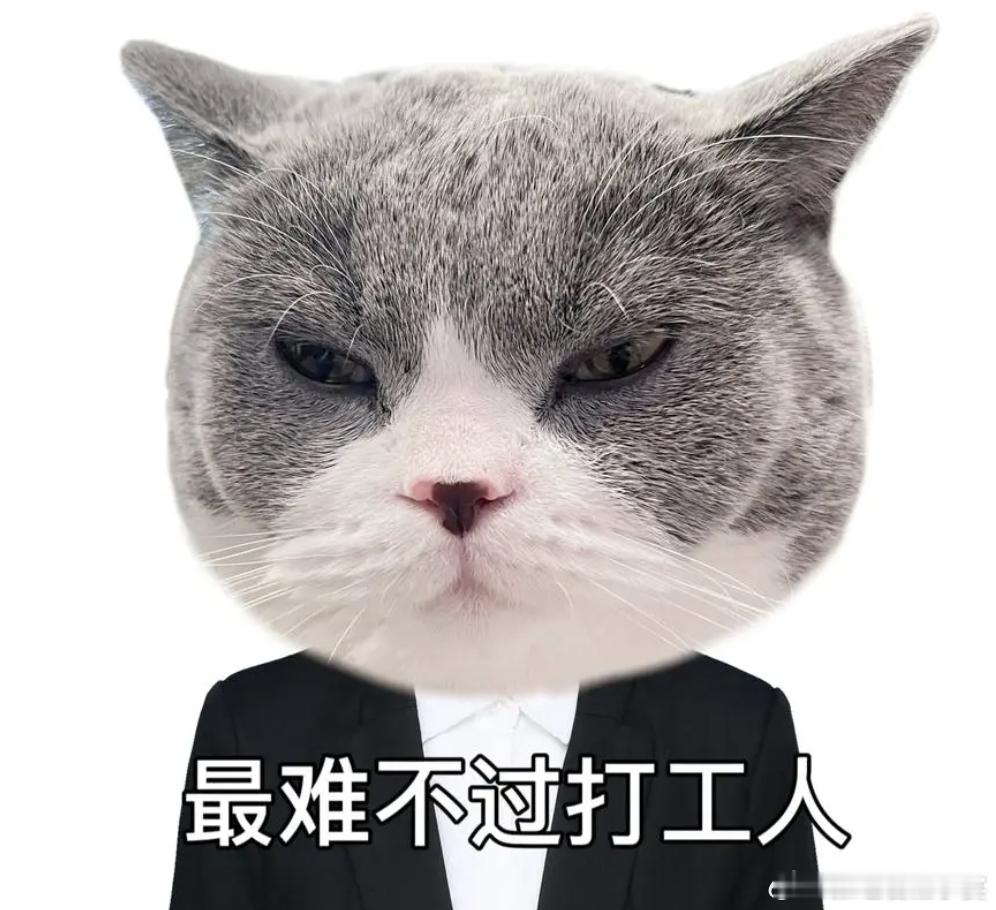 有没有人提名想让哥拍的人？可以评论区盖楼，哥也想努力一把 [吃瓜] 