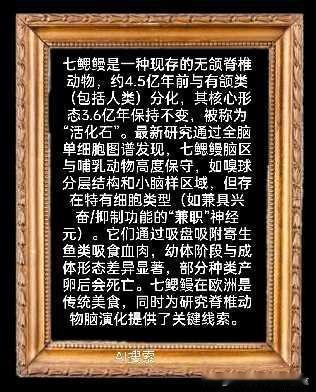 老书零页拾览〔2026.7.4辑〕