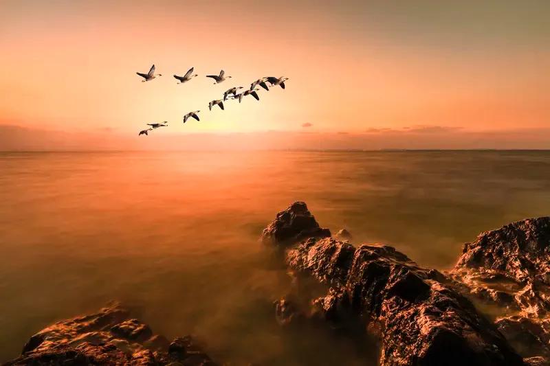 十年烟雨江南路、
风雨人生雾蒙蒙、
兼程风光无限壮、
今非昔比时至兴，
峰巅江南