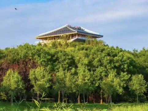 北京南苑森林湿地公园，曾经的皇家猎苑，如今南城巨大的城市绿肺。

沿着蜿蜒的柏油