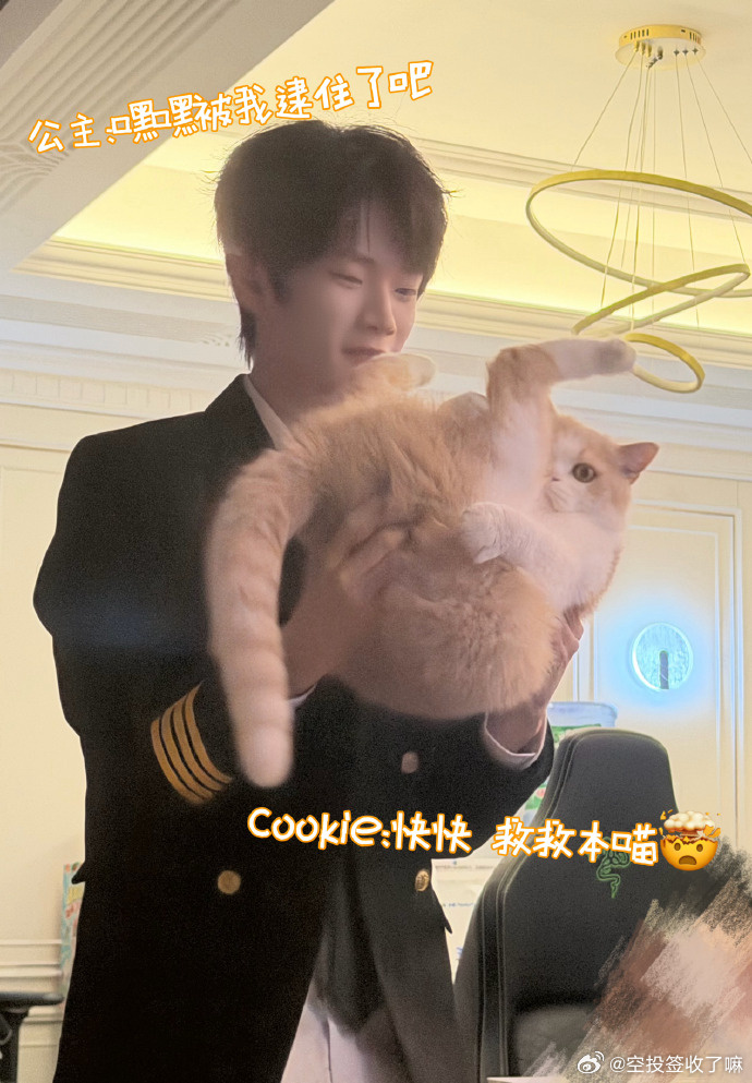 公主：嘿嘿被我逮住了吧。Cookie：快快救救本喵！满级被迫营业，谁懂本喵心情。