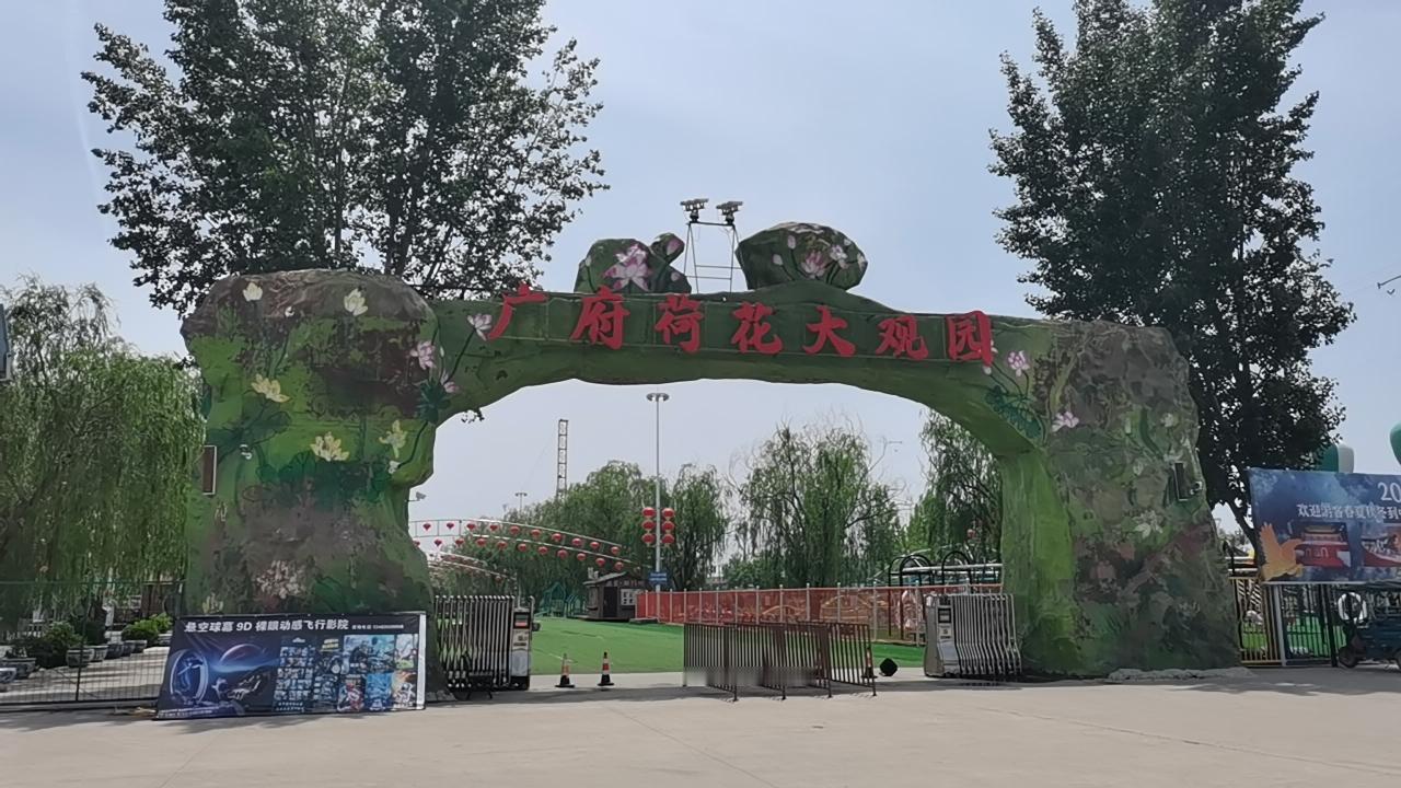 广府荷花大观园
在永年广府古城东行
不远处
有一处景点
广府荷花大观园
园内有大