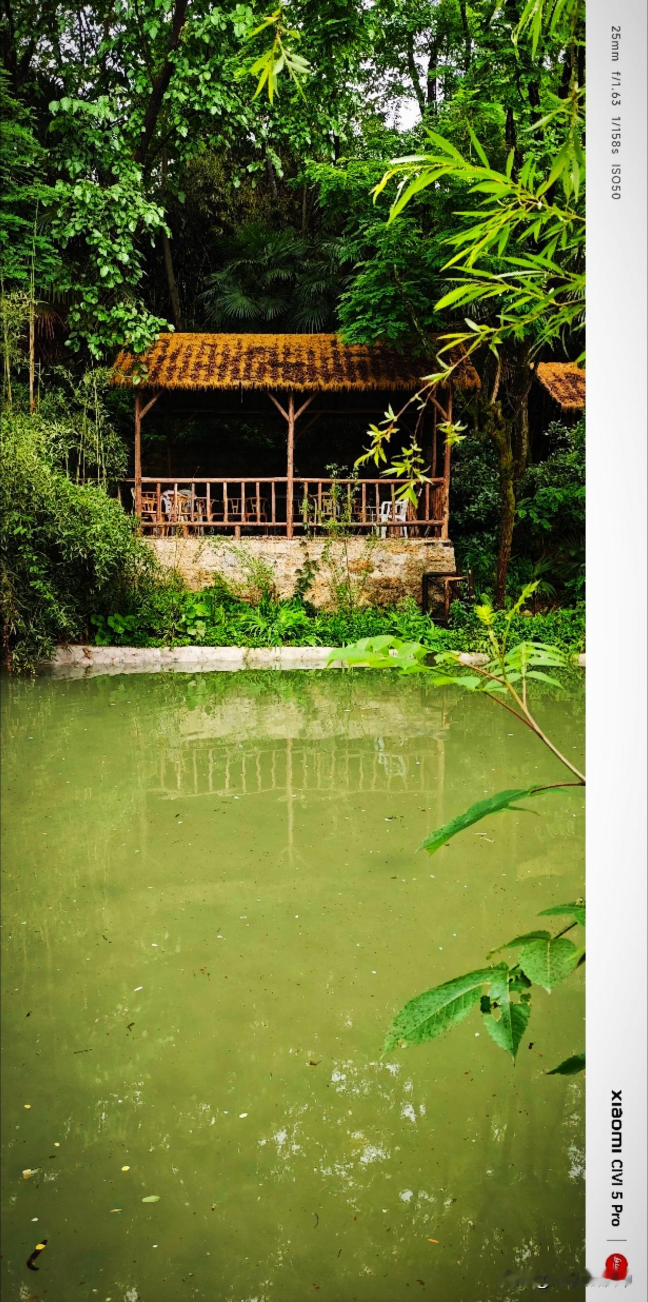 今日小满，阴天快乐。凉丝丝的空气似乎可以拧出水来，是风雨欲来的前兆。绿树成荫的日