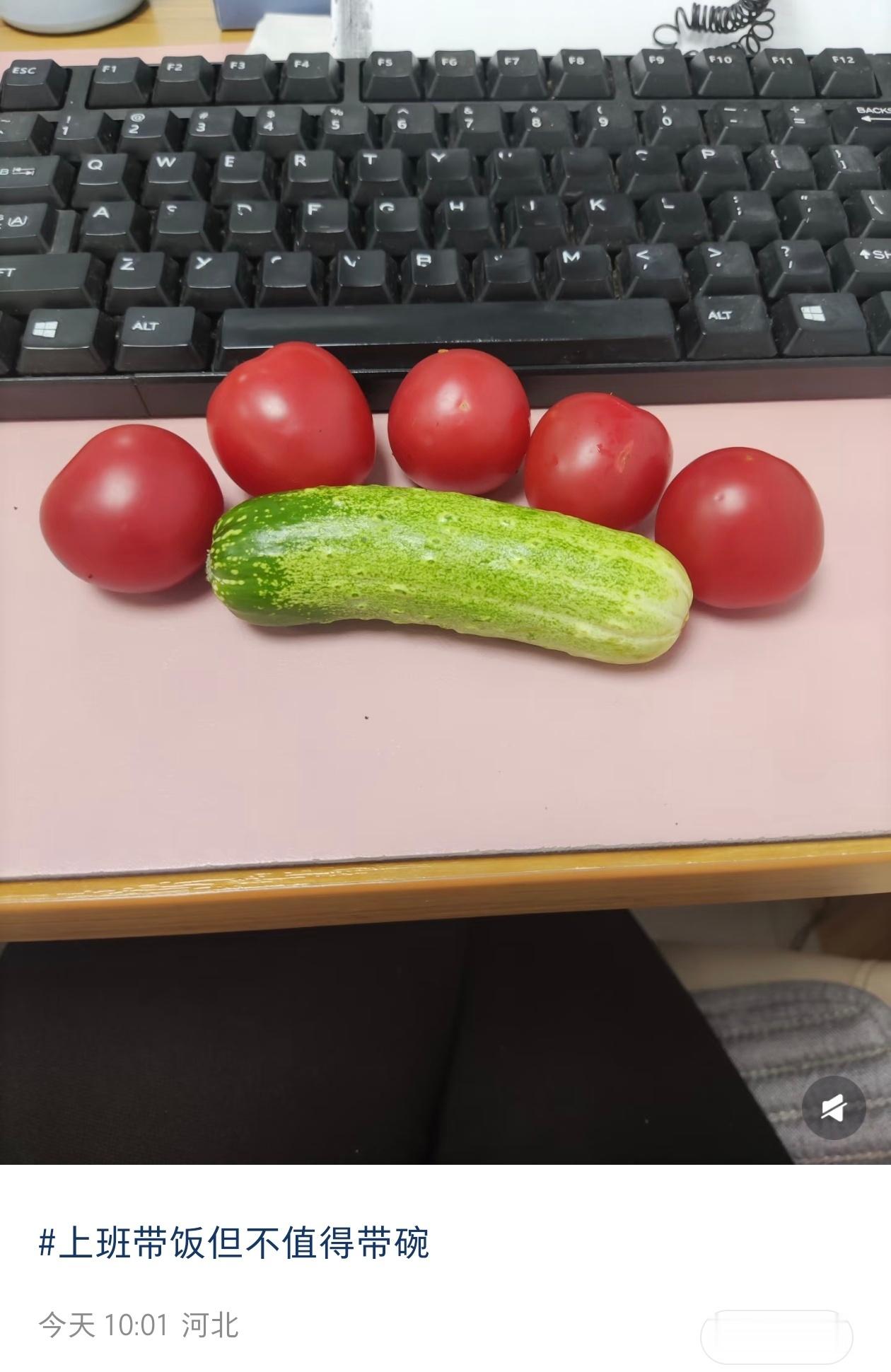 真的有人上班带饭不带碗 