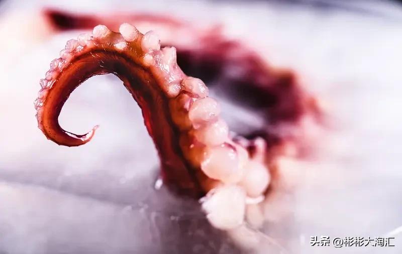好多人分不清乌贼、墨鱼、鱿鱼、章鱼，其实章鱼就是八爪鱼，乌贼就是墨鱼，它们和鱿鱼