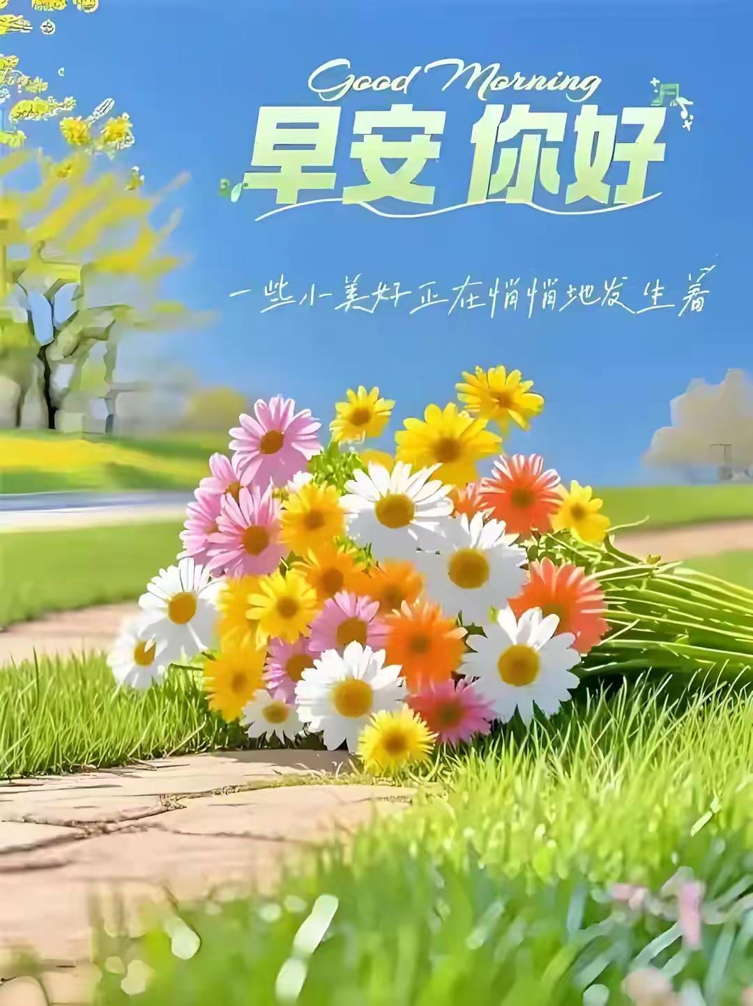 早安，美好的一天从这些小雏菊小祝福开始！🌼🌻🌸