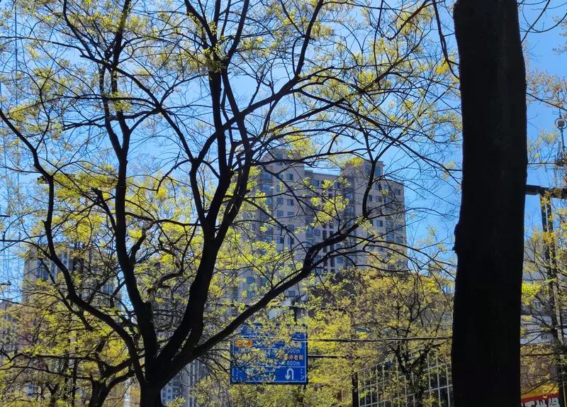 看到“一山一水一风景”这个上联，一下子就来了兴致。对下联可太有意思啦，不同风格能