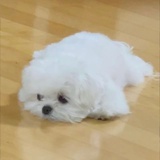 共霞热逛生活服务