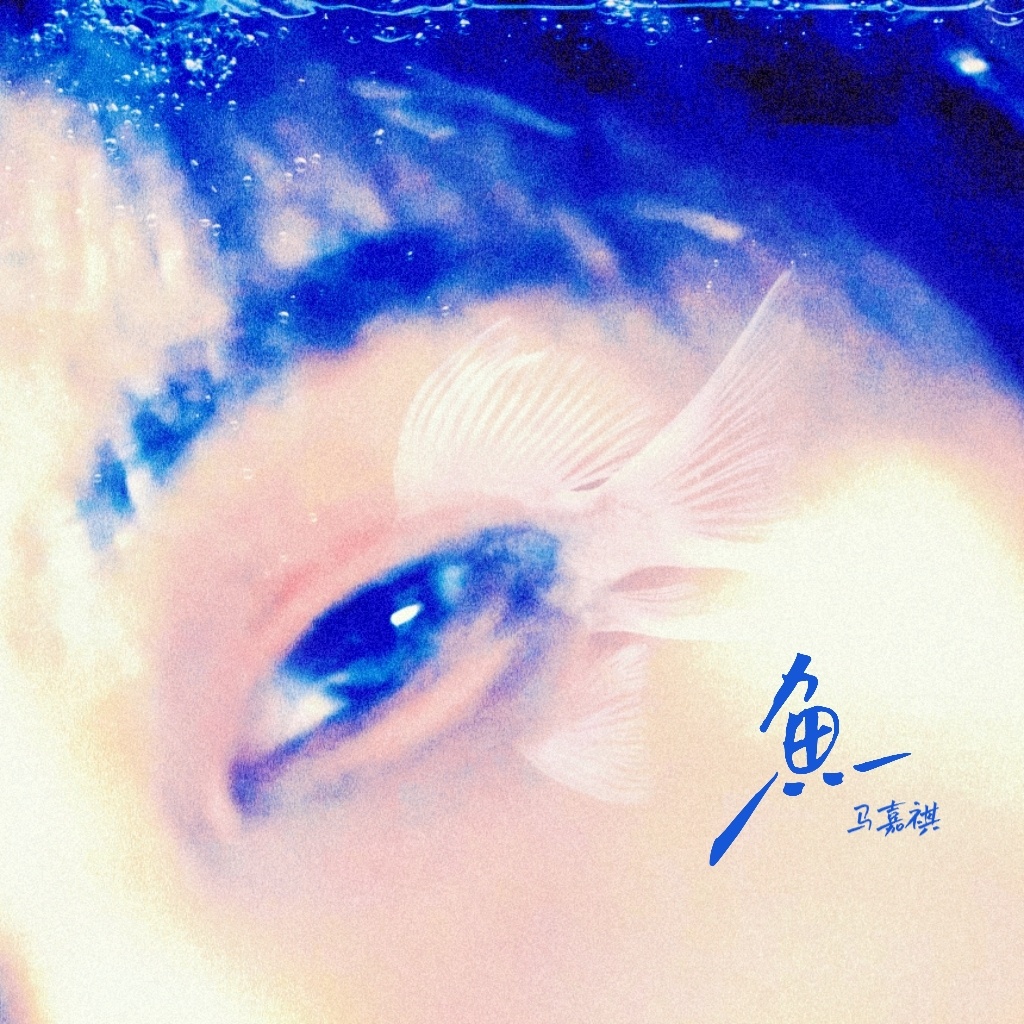 分享图片 