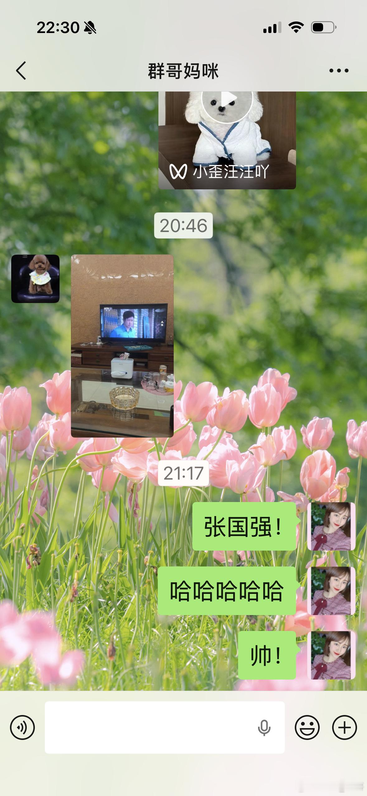 哈哈哈哈哈哈哈我妈每天打卡《主角》。张嘉益叔叔，张国强叔叔帅没边儿了叔圈初代顶流