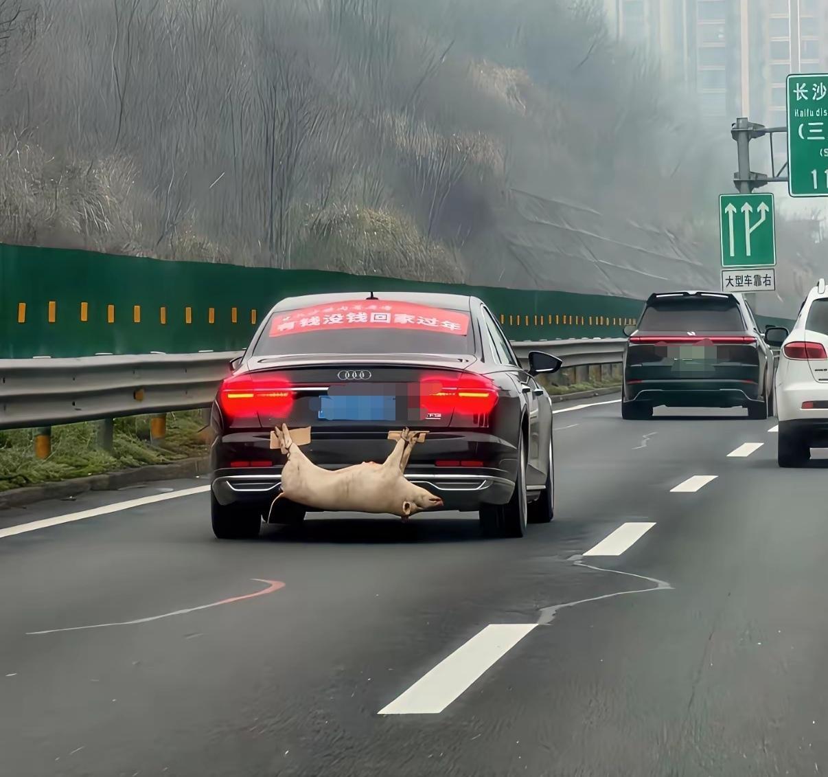 车主：你有钱没钱，回家过年……
二师兄：你没钱回家过年，还拉上我这头死猪，我谢谢