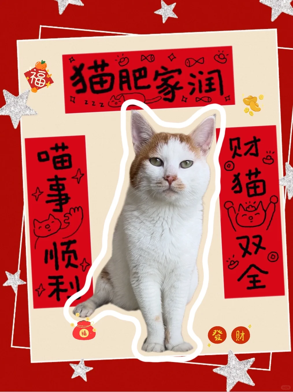 小福子来拜年啦！！
