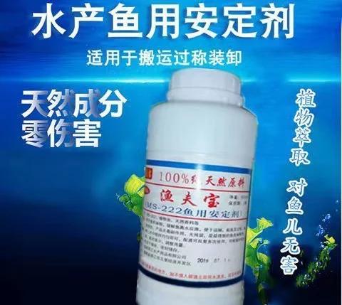 从市场上买来的活鱼，有可能是刚从麻醉中醒来。
央视报道说，山东临沂有商贩，在运输