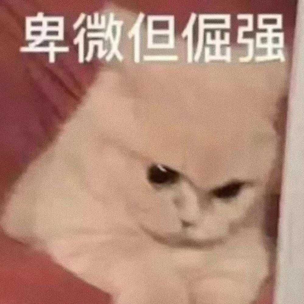 卑微但倔强的小呆瓜出现！趣味表情包